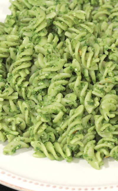 Pasta dressed with Pesto