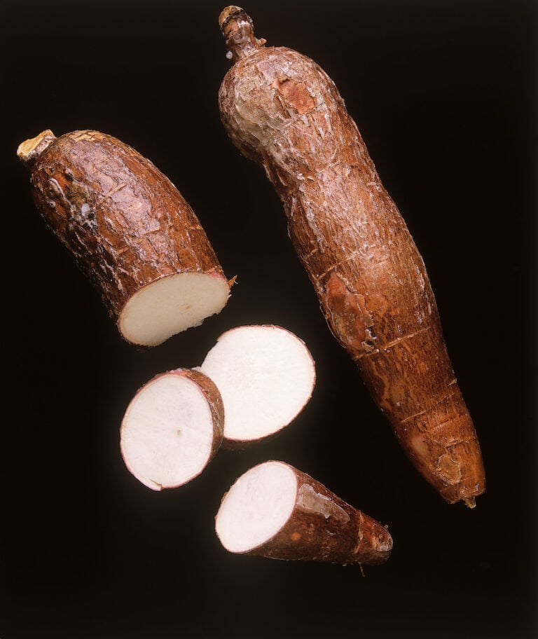 What Is Cassava Flour