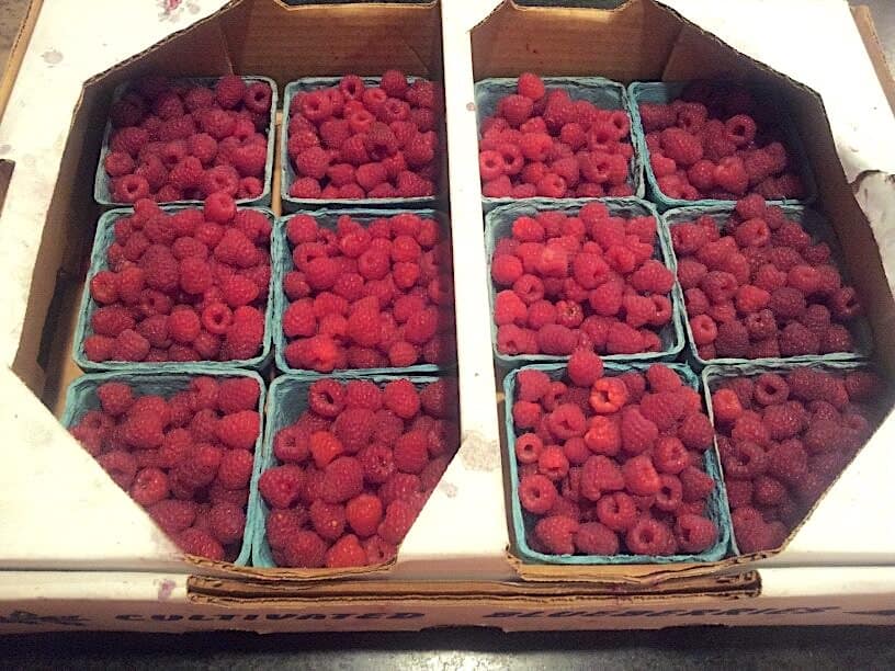 Fresh picked raspberries from our garden