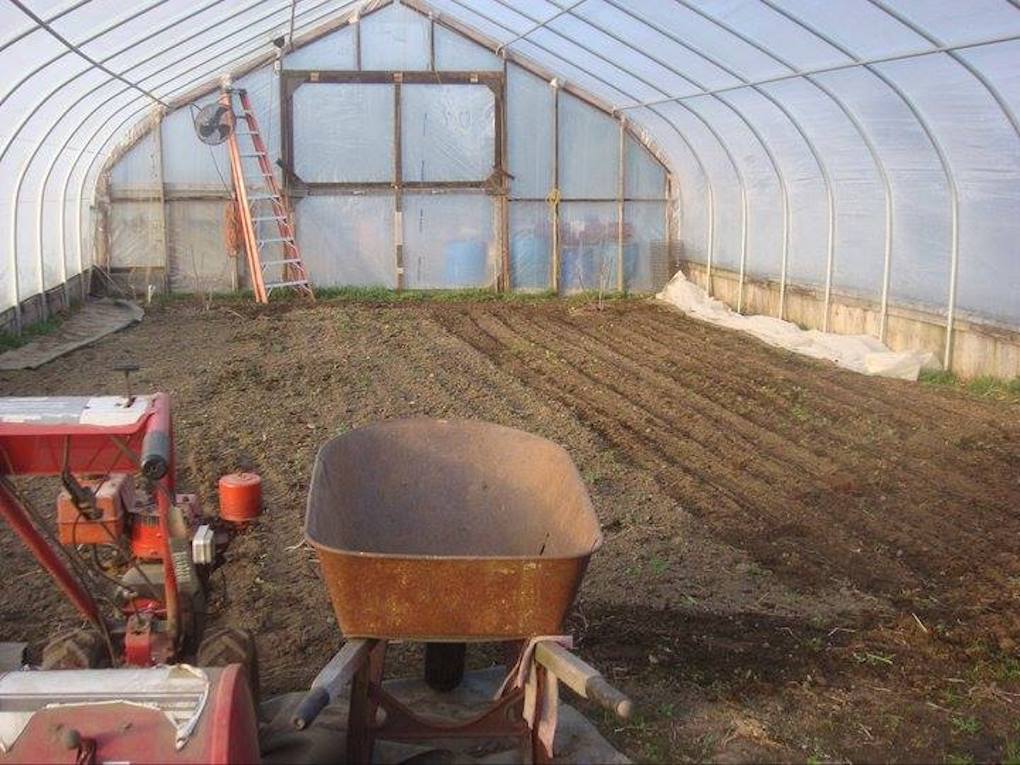 Empty greenhouse