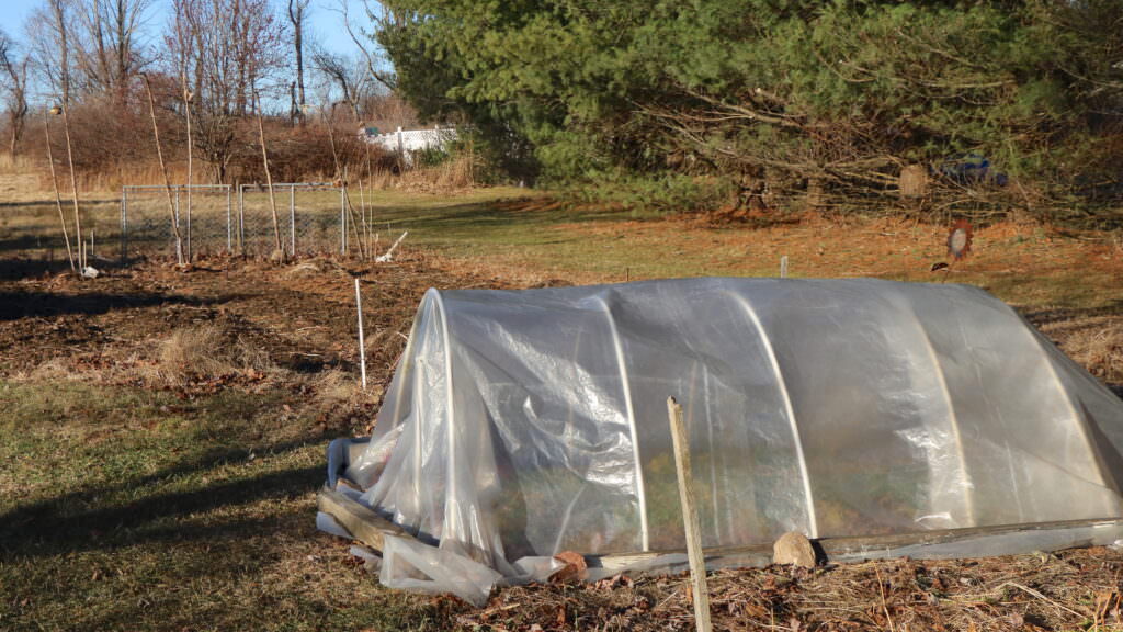 A view of our yard showing a row cover sheltering parsley in the winter