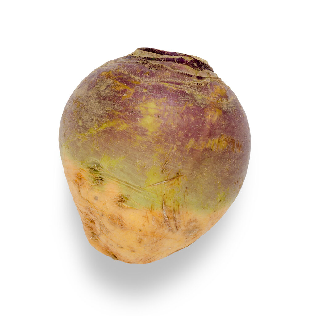 Medium sized rutabaga against a wite background