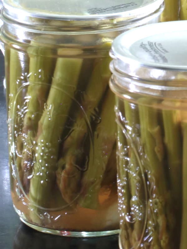 Close up of two jars of pickled asparagus