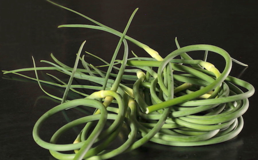 Piles of fresh picked garden scapes