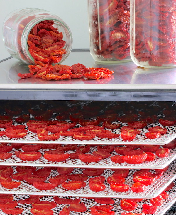 Trays of halved grape tomatoes in dehydrator; jars of dried tomatoes in jars on top of dehydrator