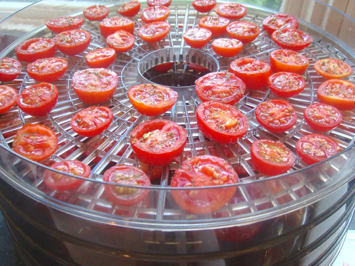 A Ronco brand dehydrator filed with halved cherry tomatoe