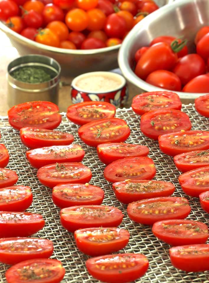 Grape tomatoes cut in half and arranged single layer on a dehydrator tray in the foreground; bowls of tomatoes in the rear