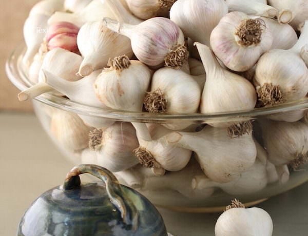 Large clear glass bowl of garlic bulbs