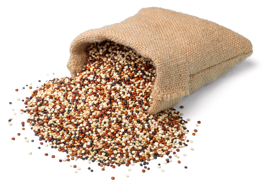 Multi colored quinoa spilling out of burlap bag