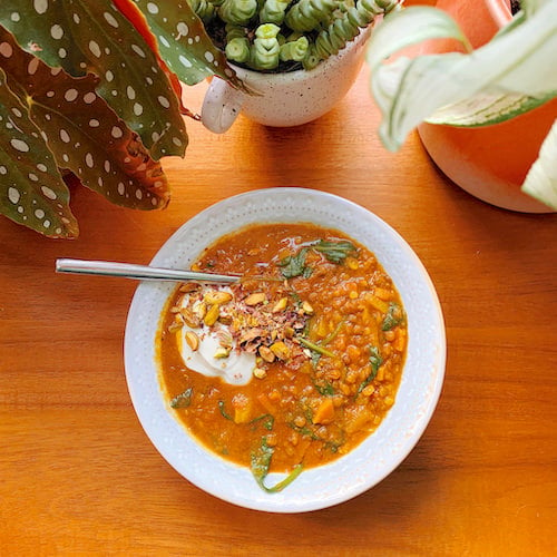 A bowl of Sunshine Lentil Dal in front with three potted plants in rear