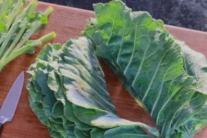 Several leaves of collard greens stacked on a cutting board with the center rib removed