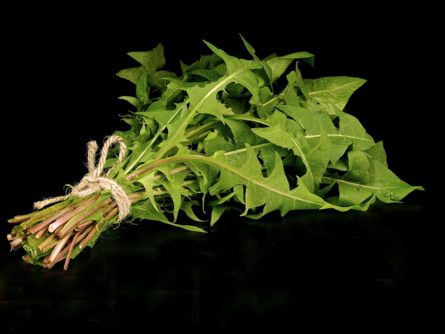 Bundle of dandelion greens