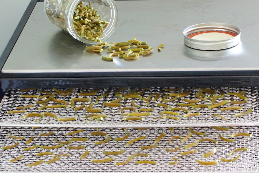 Dried garlic scapes in dehydrator and in jar on top