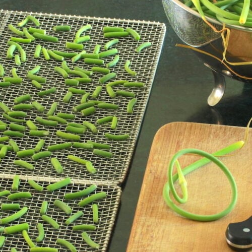 What to do with Garlic Scapes A Life Well Planted
