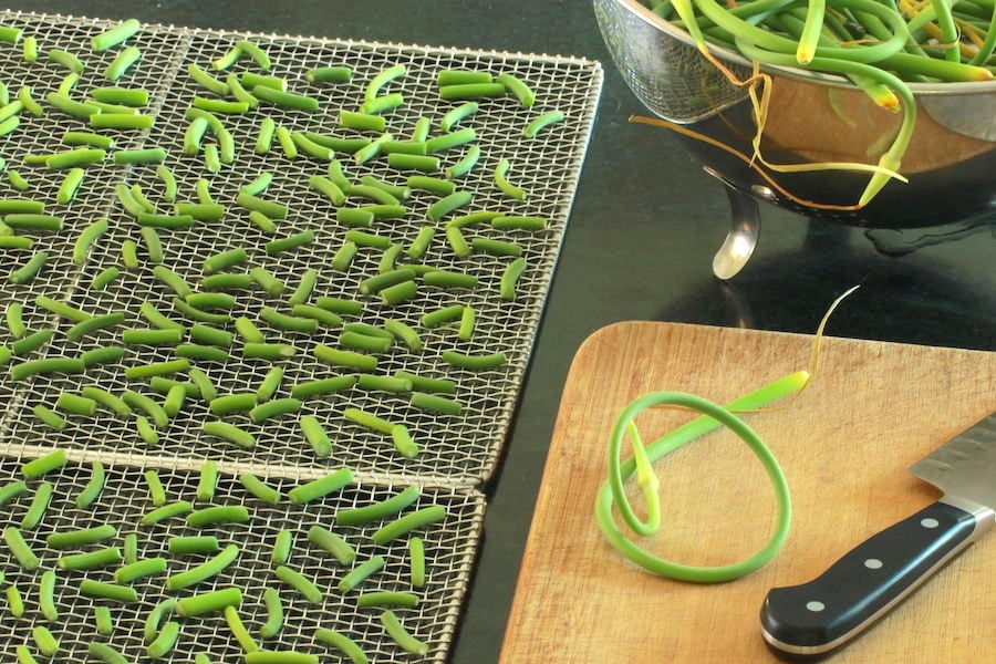 Garlic scapes cut and arranged on dehydrator trays