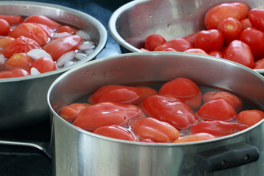 Tomatoes washed, blanched, and plunged in an ice water bath