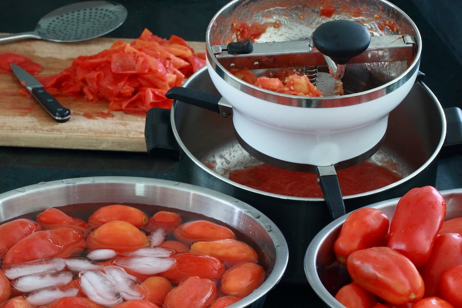 Processing tomatoes for making puree