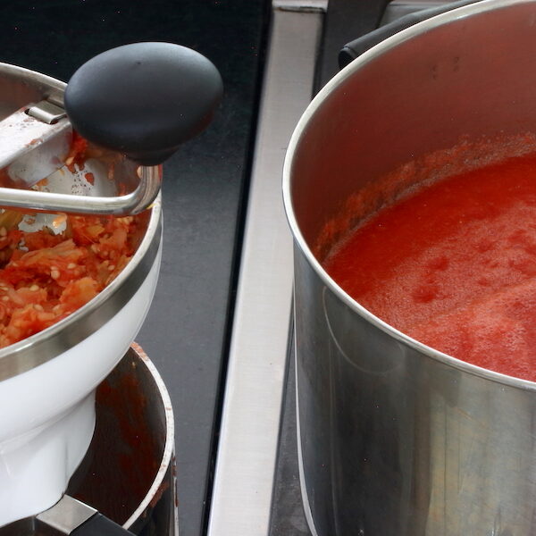 How to Peel TomatoesHow to Deseed Tomatoes A Life Well Planted
