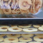 A half gallon jar of dried apple slices on top of an Excalibur dehydrator. Two trays of apple rings on arranged on shelves and highlighted