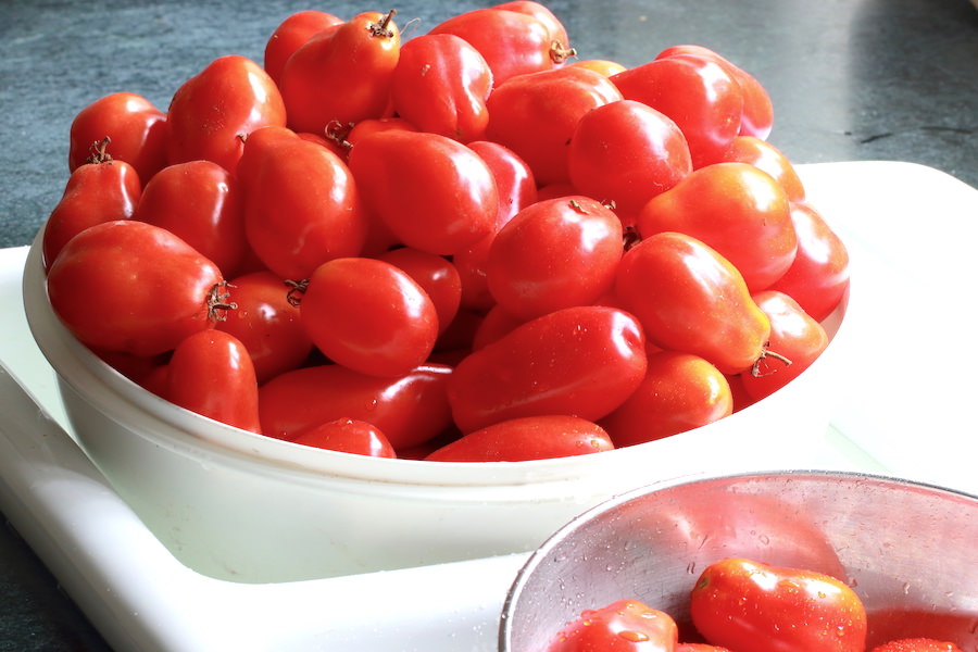 A bowl of Roma tomatoes ready to be washed for making Salsa Roma