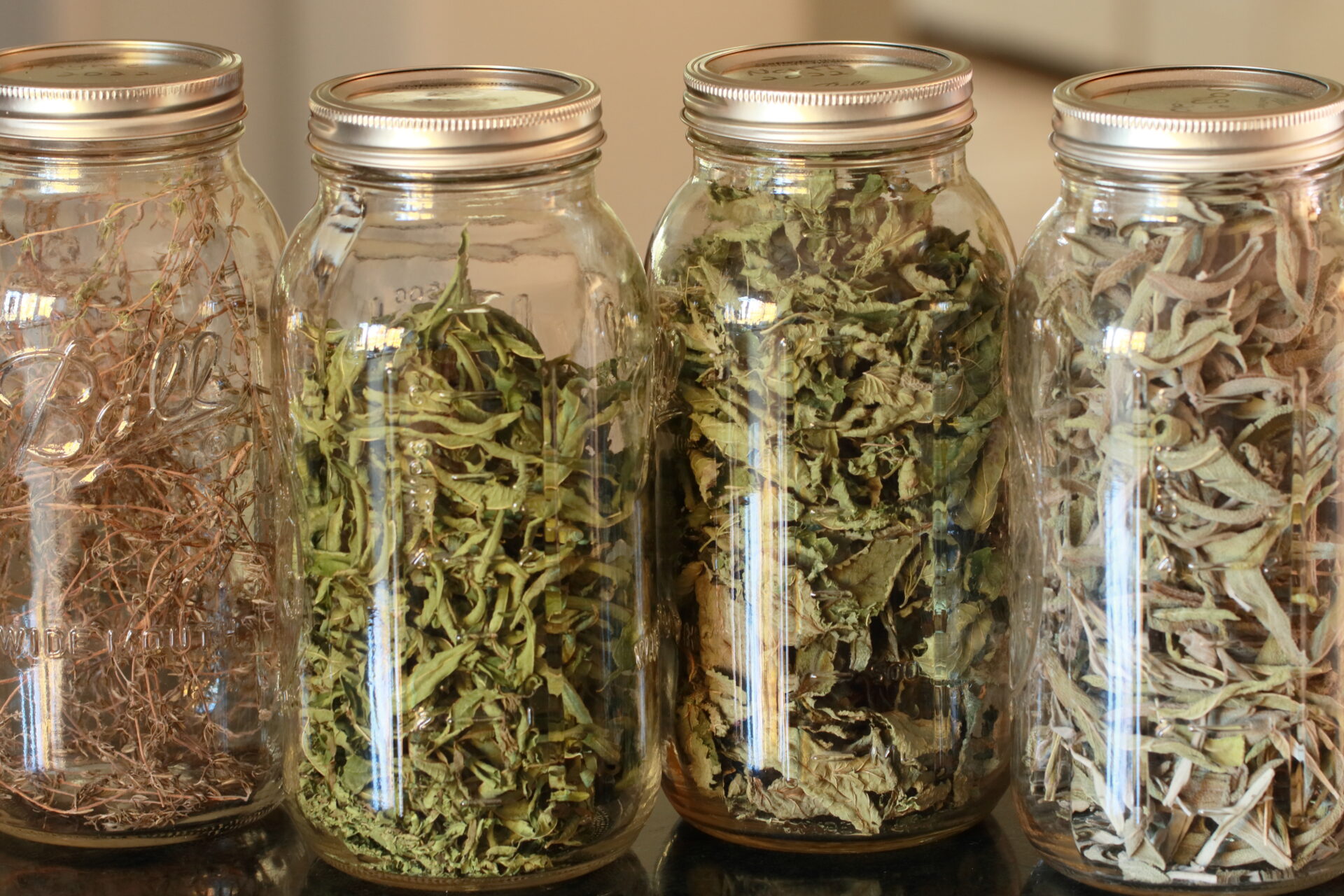 Medicinal Herb Garden A Life Well Planted