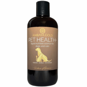 Pet Health